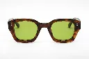 Axel _ E81 _ Deep green cat.2-FACE.webp