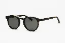 Cesar _ E20 _ Green Lens-3Q.webp