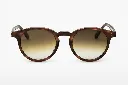 Cesar _ E81 _ Brown Gradient Lens-FACE.webp