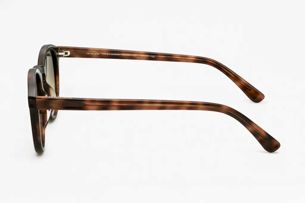 Cesar _ E81 _ Brown Gradient Lens-COTE.webp