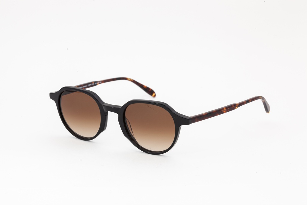 ZACK E2-E20 / Black L Cristal int / Gradient Brown Lenses - Cat.3