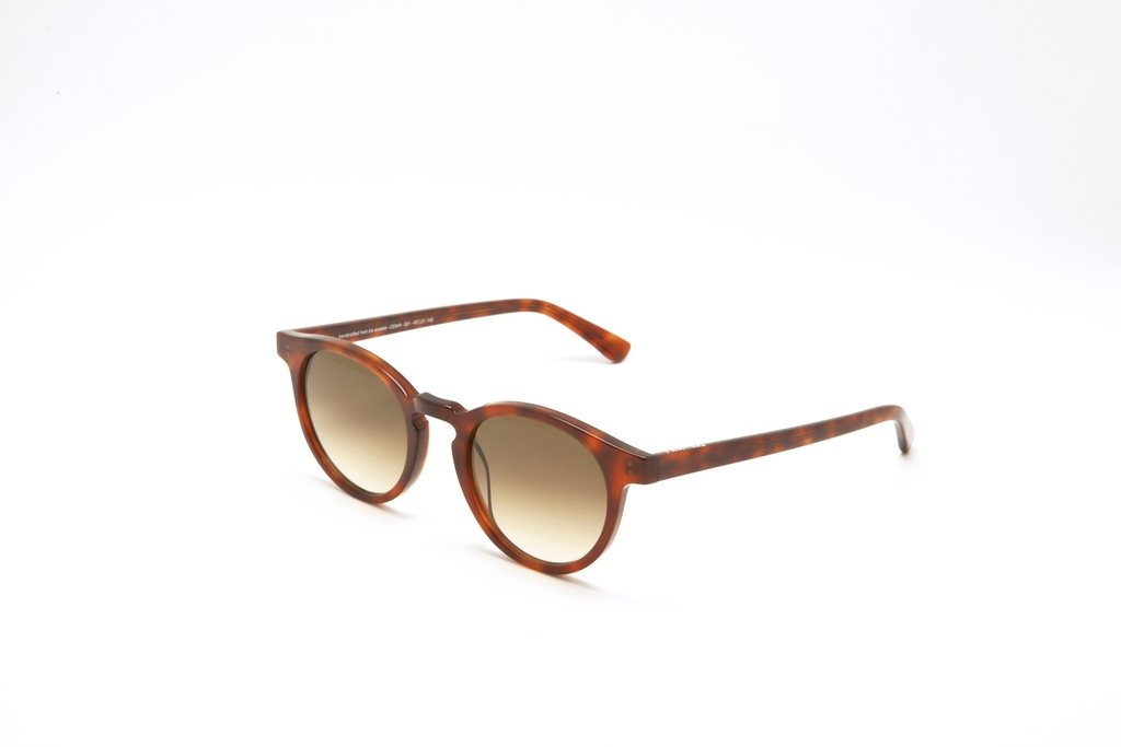 [CesarE81] Cesar / E81 / Brown Gradient Lens