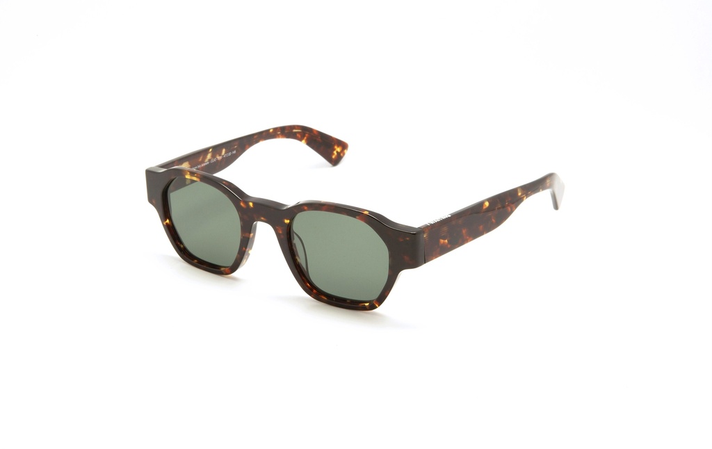 [ClioE20] Clio / Écaille Brune / Green Lens