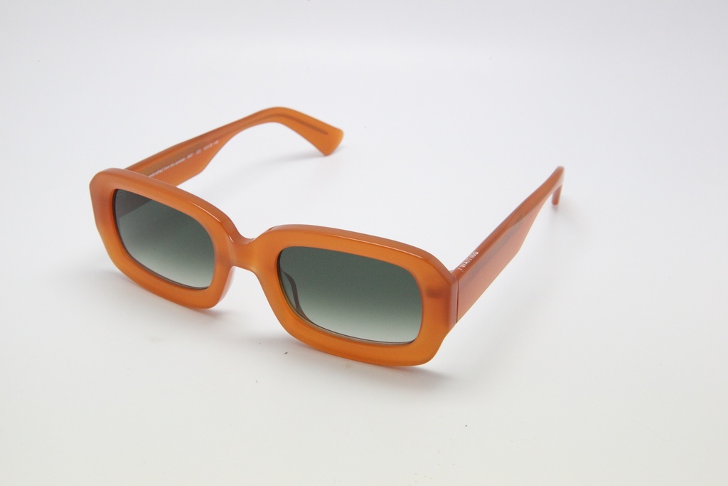 [AmyE23] Amy / Wallnut /  Verres Degrade Vert