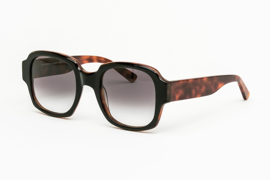 LYLOU E2L81 / Black L Blond Tortoise / Gradient Black Lenses - Cat.3